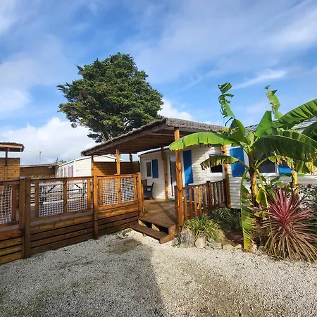 Camping L'albatros 3*